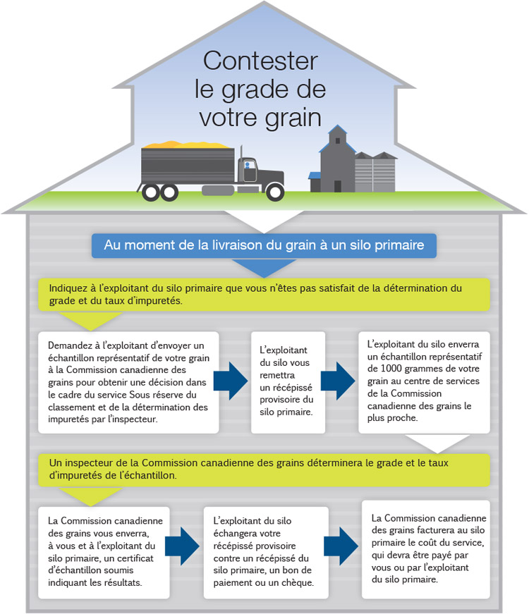 Infographiques : contester le grade de votre grain. Version texte ci-dessous