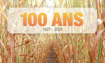 La publication Statistiques hebdomadaires des grains célèbre ses 100 ans.